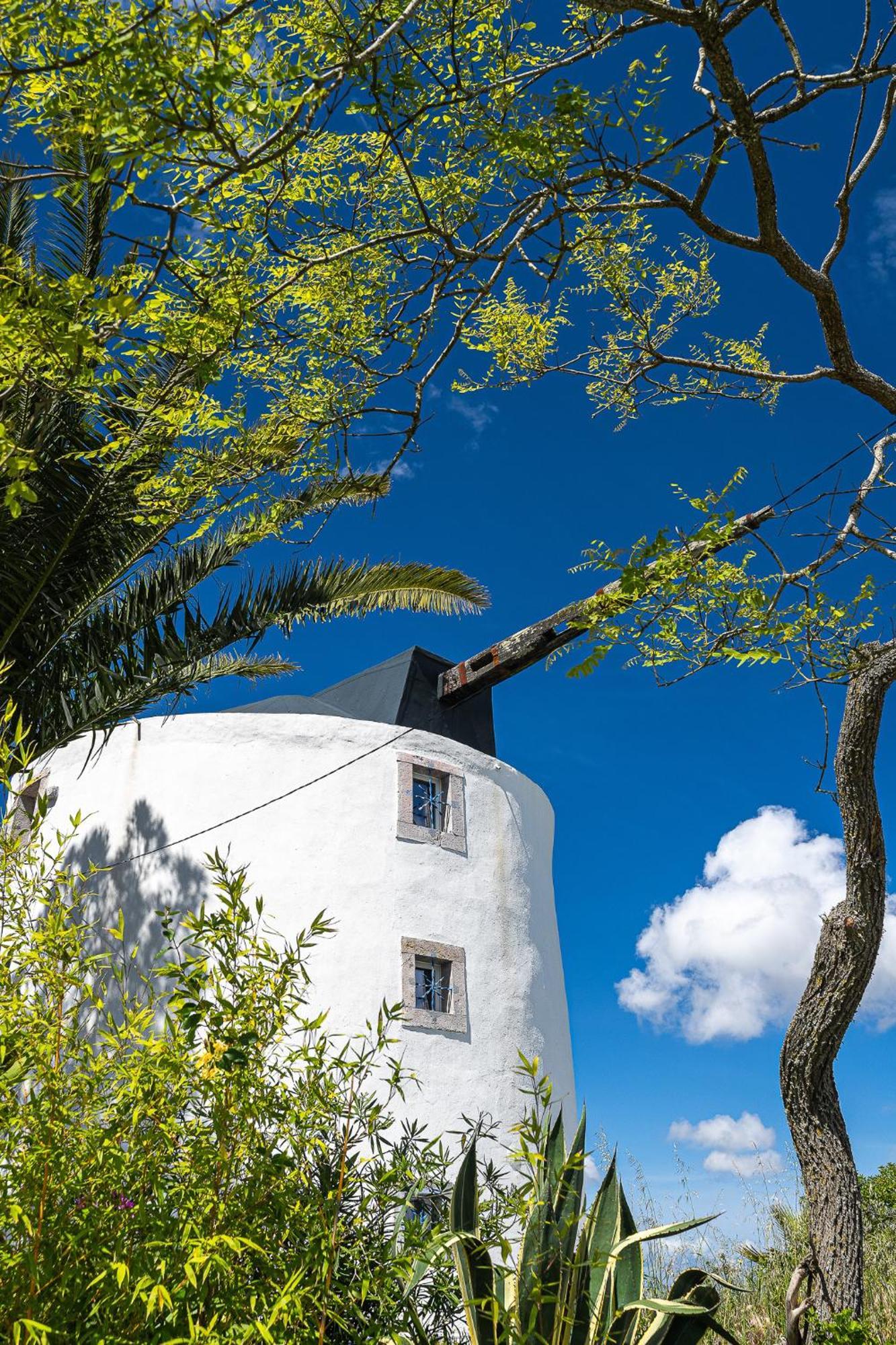 Вілла New! Windmill In The Midst Of Nature Мафра Екстер'єр фото